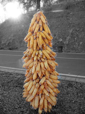 photoshop image black and white and